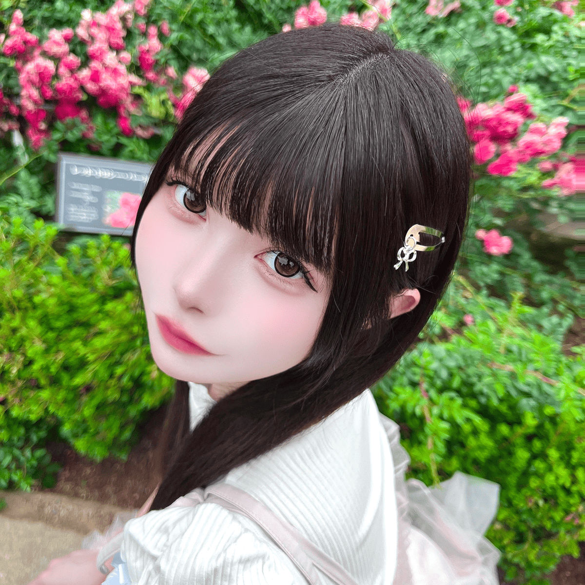 ⑩❣️蘭❣️★Ｎｏ1854 ガラスナギット★透きキラちゃん★18個 週替わり星乃キラリウィジェット - TimeTree